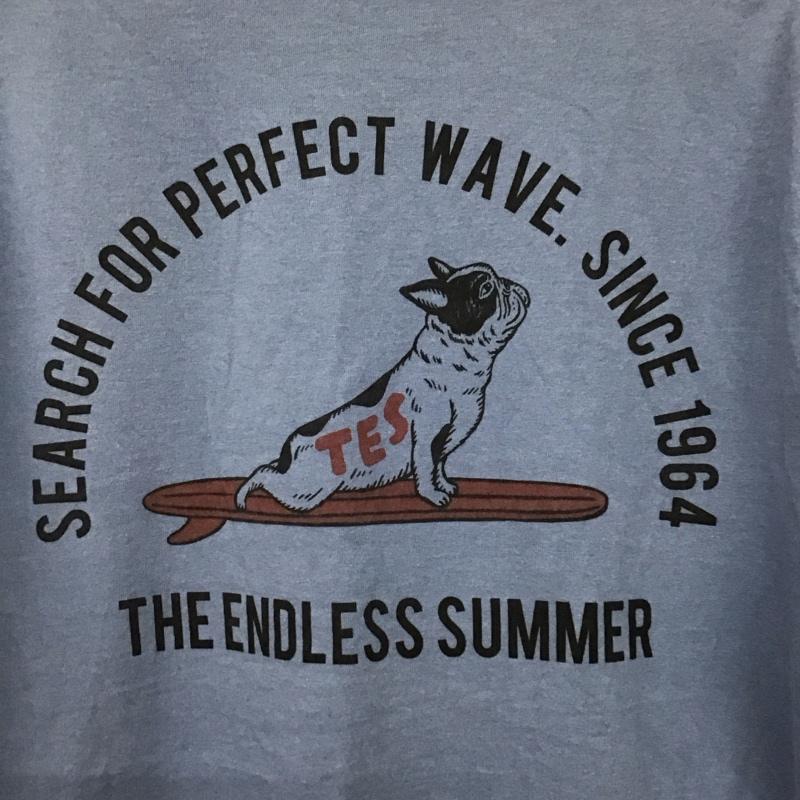 テス TES Tシャツ 半袖 半袖カットソー プリントTシャツ クルーネックカットソー L ロゴ、文字 水色 / ライトブルー / メンズ USED 古着 中古 10158186