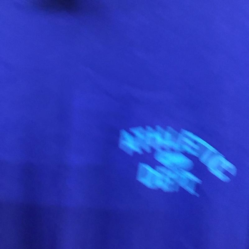 ナイキ NIKE カットソー 長袖 長袖カットソー プリントカットソー クルーネック XL ロゴ、文字 青 / ブルー / blue メンズ USED 古着 中古 10158406