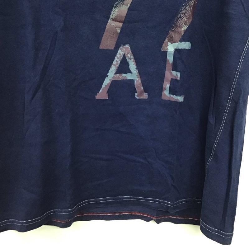 アメリカンイーグルアウトフィッターズ AMERICANEAGLEOUTFITTERS Tシャツ 半袖 半袖カットソー プリントTシャツ クルーネックカットソー M プリント 紺 / ネイビー / navy メンズ USED 古着 中古 10159467