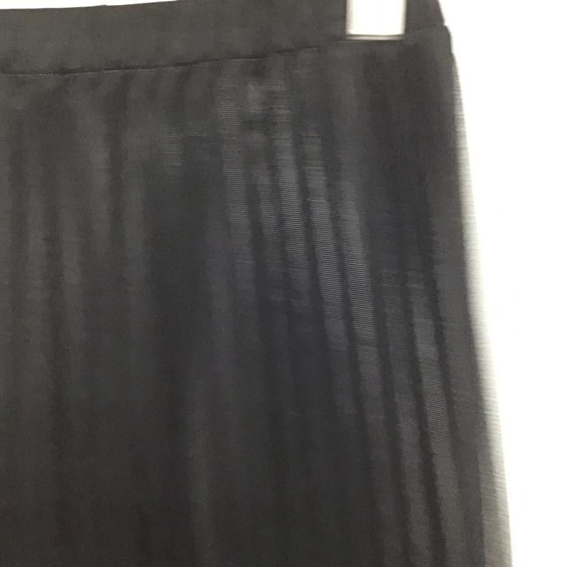 ジーナシス JEANASIS スカート ロングスカート JS050438MW シアーシャイニープリーツスカート FREE 無地 黒 / ブラック / black レディース USED 古着 中古 10159519