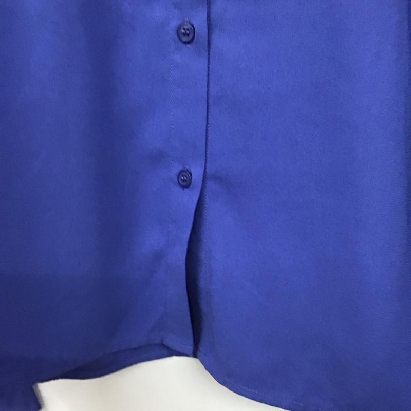 アズールバイマウジー AZUL BY MOUSSY シャツ、ブラウス 長袖 250BSA30-407C ジョーゼットオーバーシャツ FREE 無地 青 / ブルー / blue レディース USED 古着 中古 10159535
