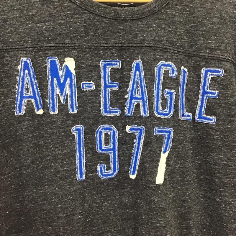 アメリカンイーグル AMERICANEAGLE Tシャツ 半袖 半袖カットソー プリントTシャツ クルーネックカットソー M ロゴ、文字 ダークグレー / ダークグレー / メンズ USED 古着 中古 10159637