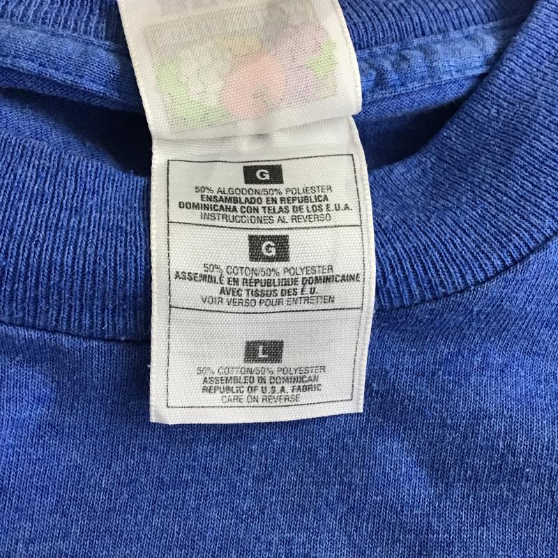 フルーツオブザルーム FRUIT OF THE LOOM Tシャツ 半袖 半袖カットソー プリントTシャツ クルーネックカットソー L ロゴ、文字 青 / ブルー / blue メンズ USED 古着 中古 10159753