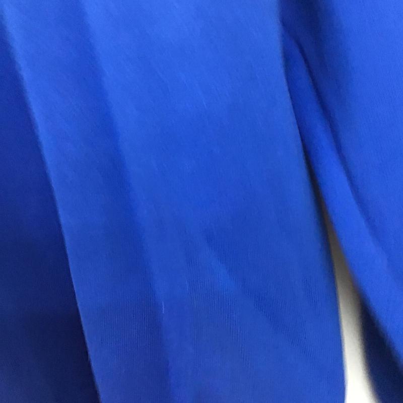 メジャーリーグベースボール MLB トレーナー 長袖 プリント 青 / ブルー / blue メンズ USED 古着 中古 10160204