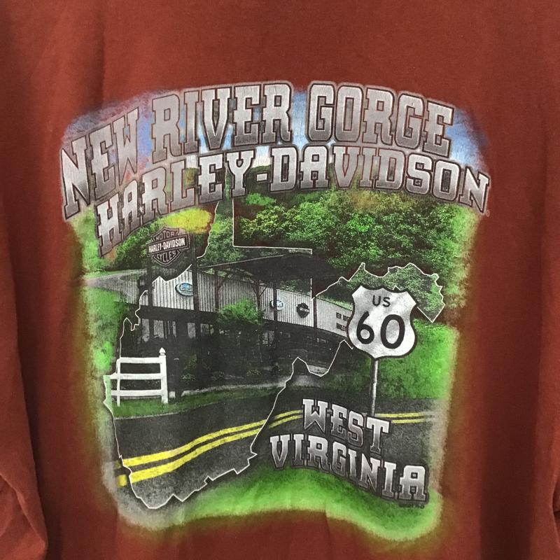 ハーレーダビッドソン Harley-Davidson Tシャツ 半袖 半袖カットソー プリントTシャツ クルーネックカットソー XXL ロゴ、文字 えんじ / ワインレッド / dark red メンズ USED 古着 中古 10160302