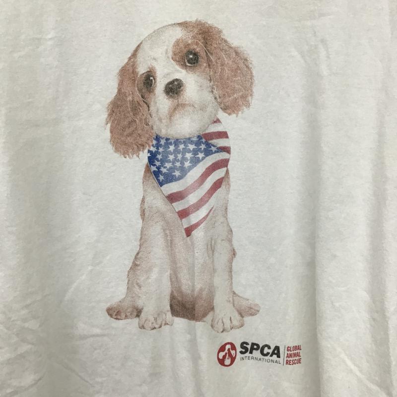古着 USED Tシャツ 半袖 半袖カットソー プリントTシャツ クルーネックカットソー L プリント 白 / ホワイト / white メンズ USED 古着 中古 10160328
