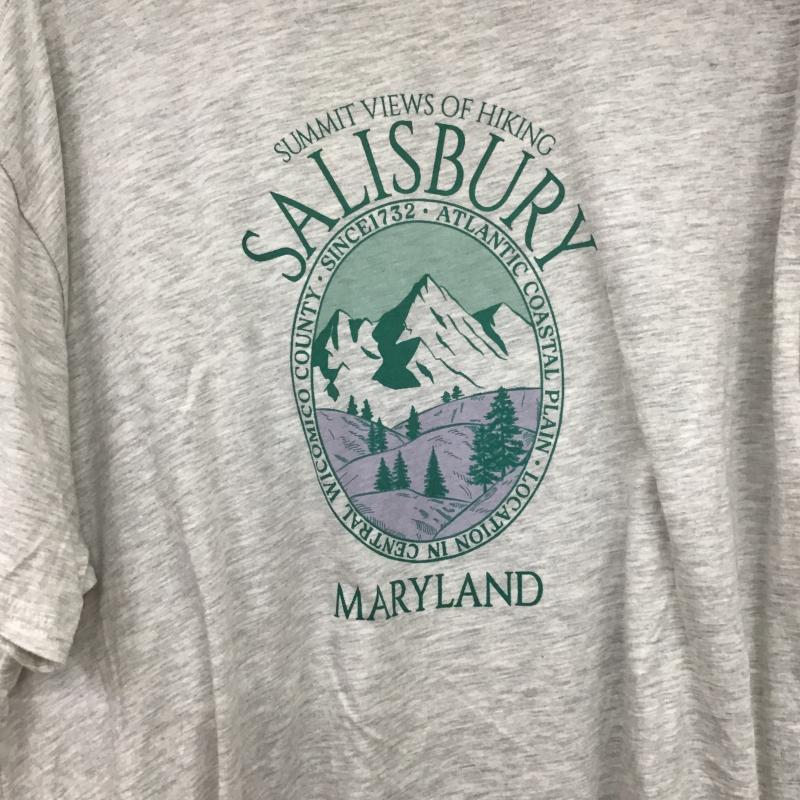 スタディオクリップ studio CLIP Tシャツ 半袖 FREE ロゴ、文字 X プリント 灰 / グレー / gray レディース USED 古着 中古 10160865