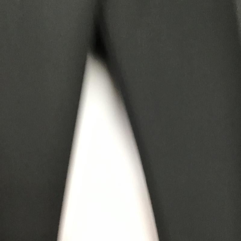 イネド INED パンツ スラックス スラックスパンツ ワイドパンツ センタータックパンツ 無地 ダークグレー / ダークグレー / レディース USED 古着 中古 10161234