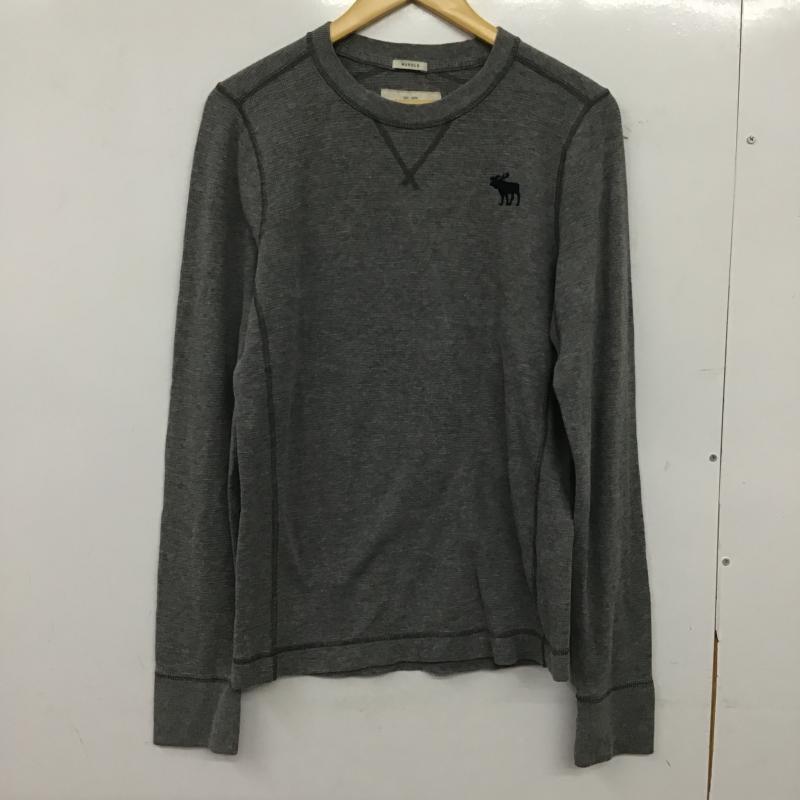アバクロンビーアンドフィッチ ABERCROMBIE&FITCH カットソー 長袖 長袖カットソー 刺繍カットソー クルーネック M ロゴ、文字 灰 / グレー / gray メンズ USED 古着 中古 10161352