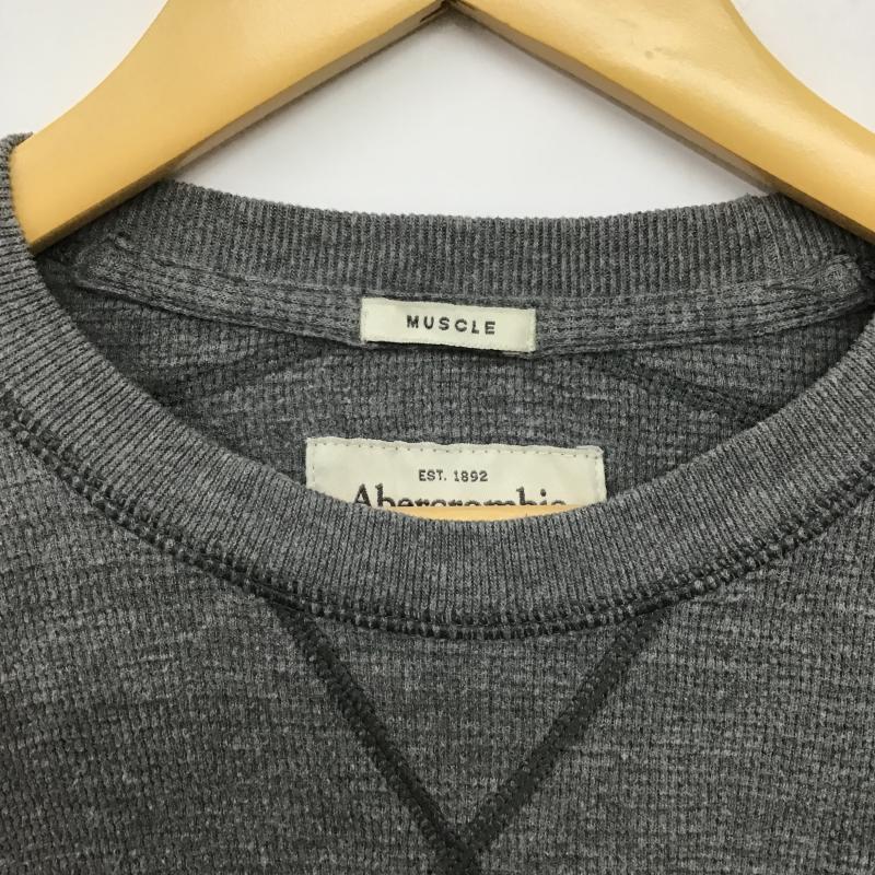 アバクロンビーアンドフィッチ ABERCROMBIE&FITCH カットソー 長袖 長袖カットソー 刺繍カットソー クルーネック M ロゴ、文字 灰 / グレー / gray メンズ USED 古着 中古 10161352