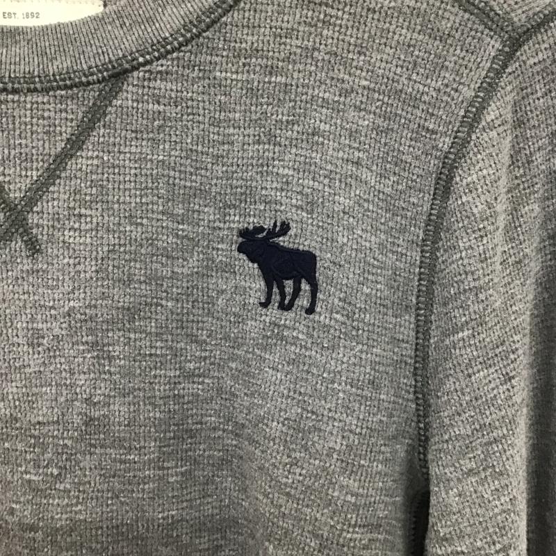 アバクロンビーアンドフィッチ ABERCROMBIE&FITCH カットソー 長袖 長袖カットソー 刺繍カットソー クルーネック M ロゴ、文字 灰 / グレー / gray メンズ USED 古着 中古 10161352