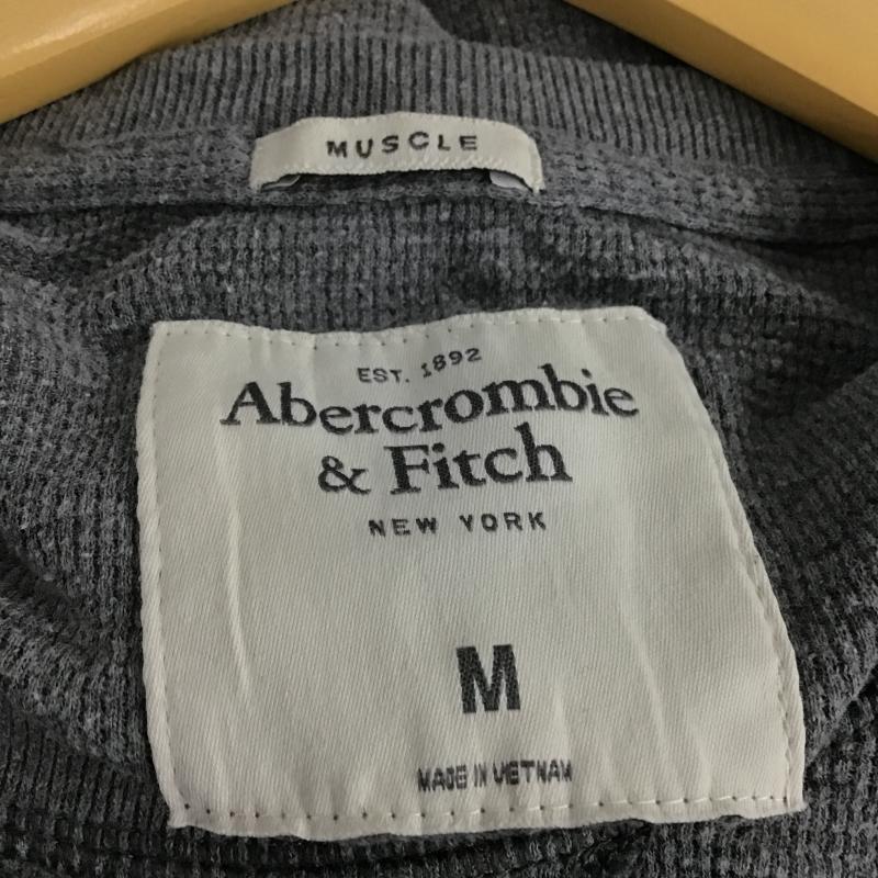 アバクロンビーアンドフィッチ ABERCROMBIE&FITCH カットソー 長袖 長袖カットソー 刺繍カットソー クルーネック M ロゴ、文字 灰 / グレー / gray メンズ USED 古着 中古 10161352