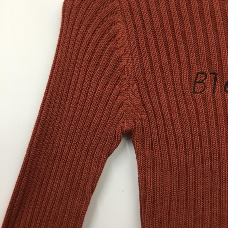 ダズリン dazzlin ニット、セーター 長袖 タグ付 FREE ロゴ、文字 茶 / ブラウン / brown レディース USED 古着 中古 10162427