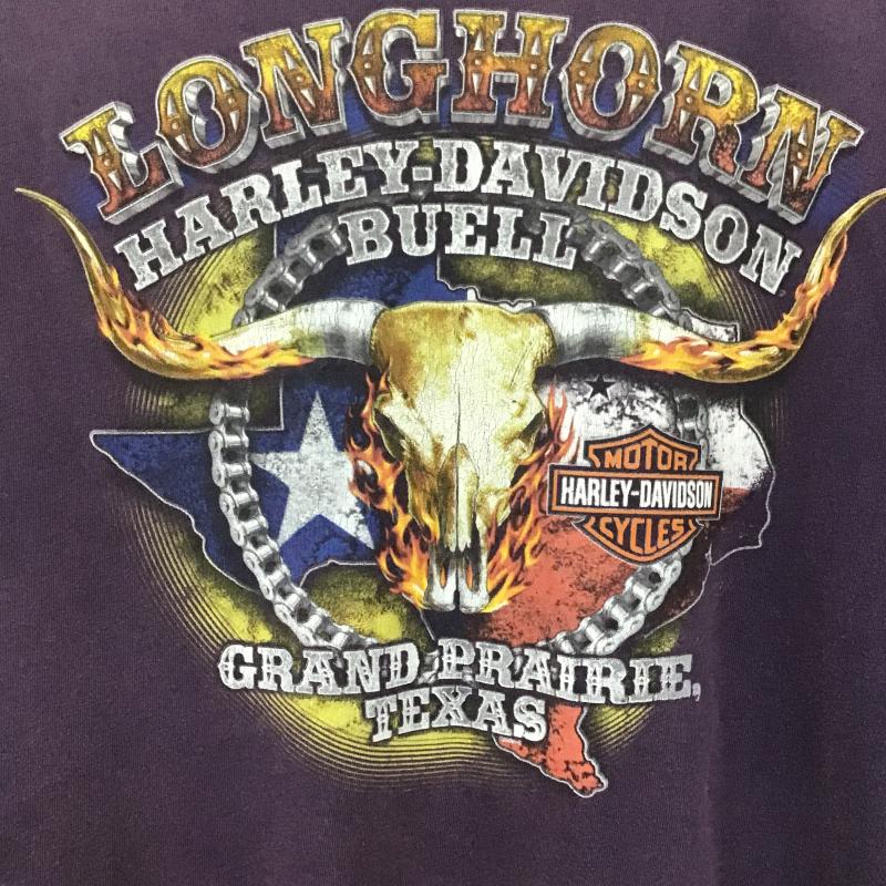 ハーレーダビッドソン Harley-Davidson Tシャツ 半袖 半袖カットソー プリントTシャツ クルーネックカットソー ロゴ、文字 マルチカラー / マルチカラー / multicolor メンズ USED 古着 中古 10162672
