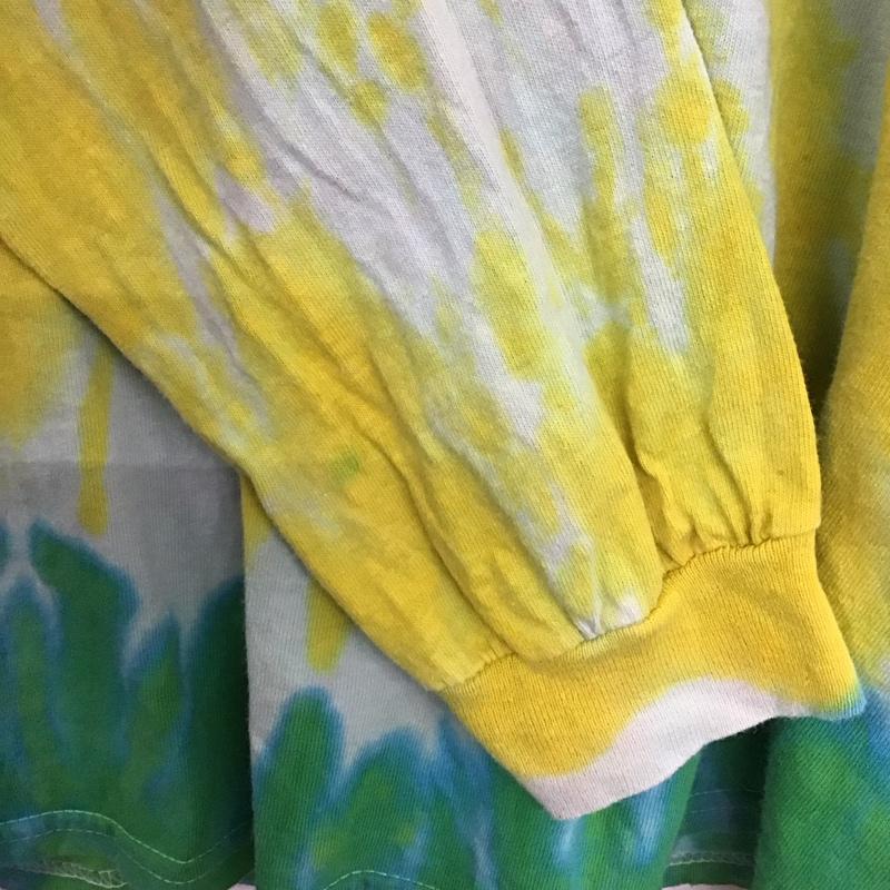 古着 USED カットソー 長袖 長袖カットソー プリントカットソー クルーネック L プリント マルチカラー / マルチカラー /  メンズ USED 古着 中古 10134563