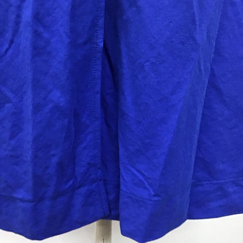アズールバイマウジー AZUL BY MOUSSY スカート ロングスカート 250FSB81-360D ARCTIC FEEL FLARE COLOR SKIRT S 無地 青 / ブルー /  レディース USED 古着 中古 10111427