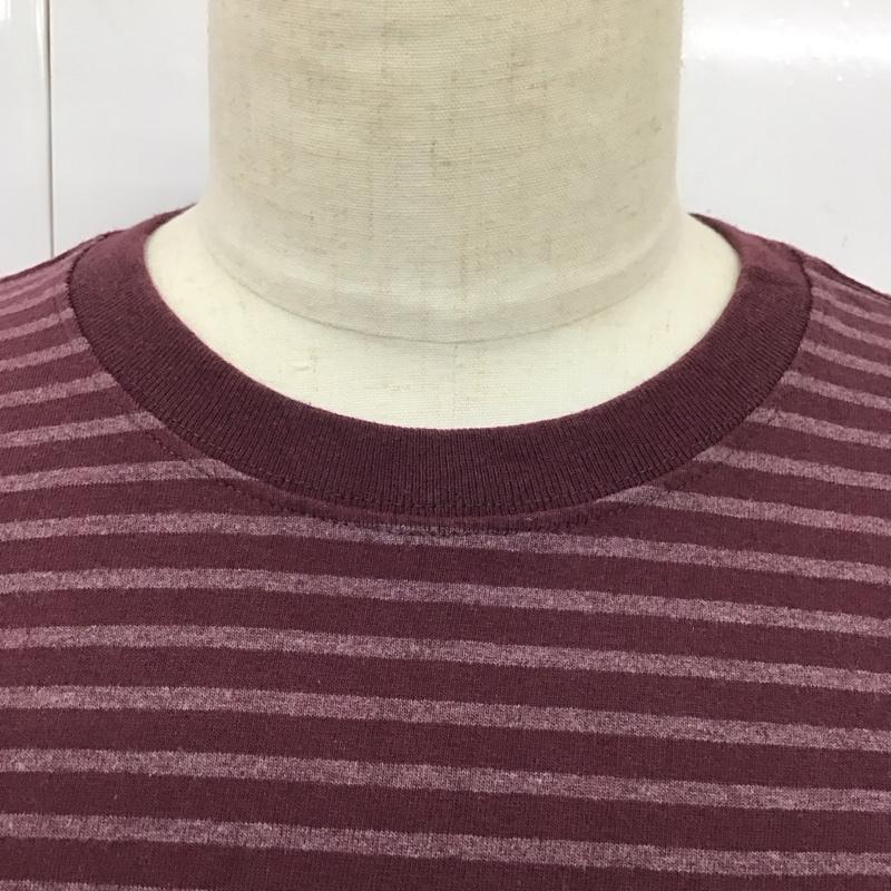 カーハート Carhartt Tシャツ 半袖 半袖カットソー プリントTシャツ クルーネックカットソー S ロゴ、文字 マルチカラー / マルチカラー /  メンズ USED 古着 中古 10115322