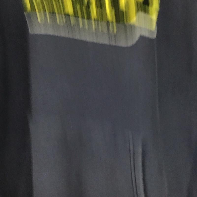 チャンピオン Champion パーカー 長袖 長袖パーカー プルオーバーパーカー スウェット XLARGE L ロゴ、文字 紺 / ネイビー /  メンズ USED 古着 中古 10140141