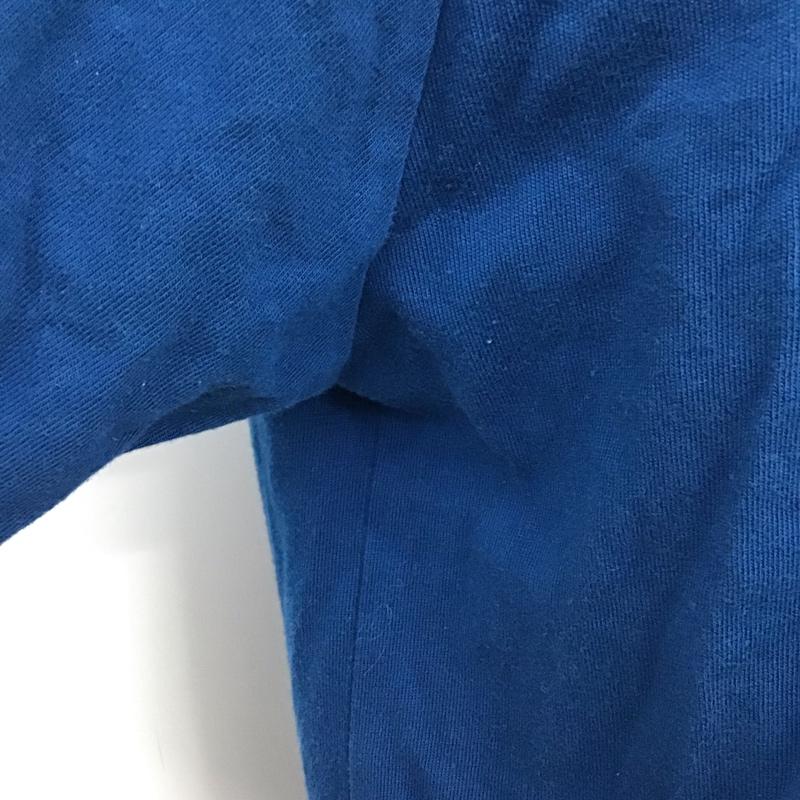 アディダスオリジナルス adidas originals カットソー 長袖 DV1559 スリーストライプ長袖Tシャツ ジャージ ラグラン ロゴ、文字 青 / ブルー /  メンズ USED 古着 中古 10117335