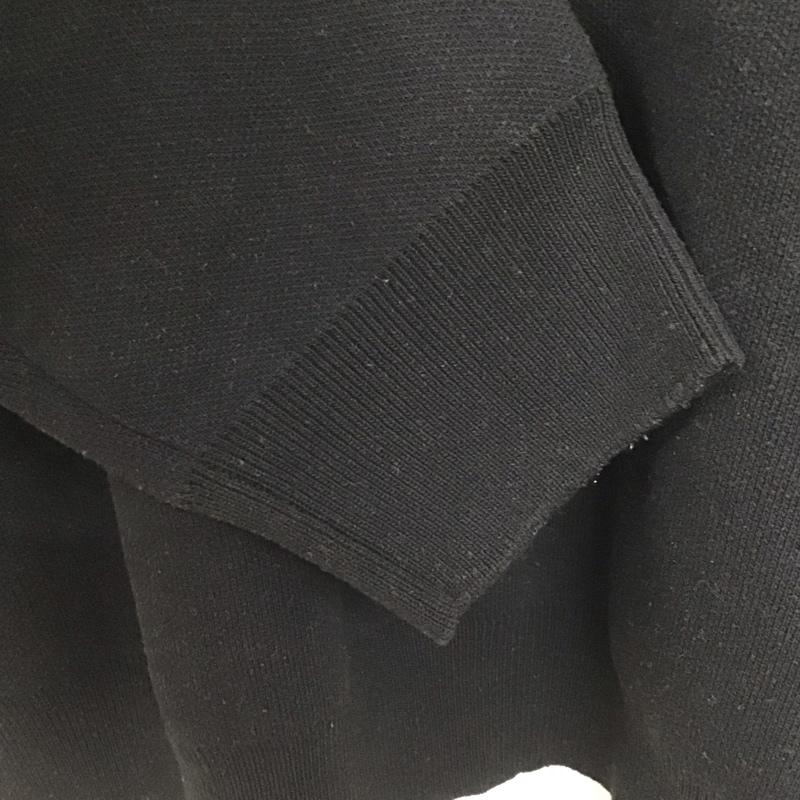 ジーナシス JEANASIS トレーナー 長袖 js064131mw 12G Wジャガードボリュームスリーブスウェット FREE 無地 黒 / ブラック /  レディース USED 古着 中古 10143423