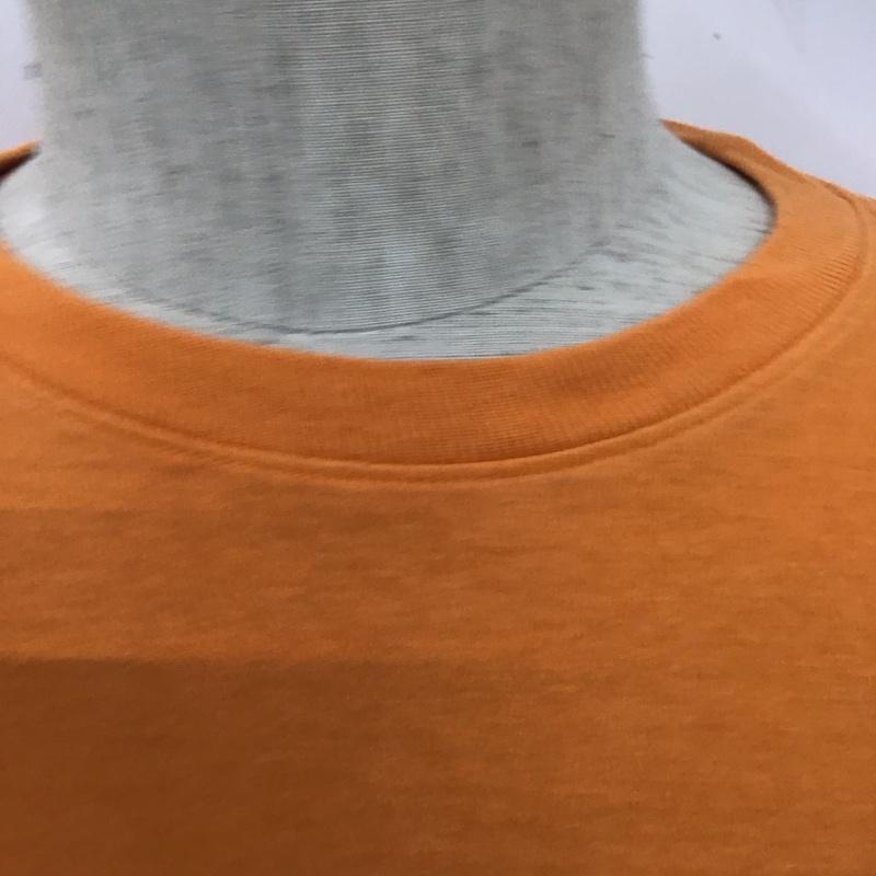 ザノースフェイス THE NORTH FACE カットソー 長袖 長袖カットソー プリントカットソー クルーネック M ロゴ、文字 橙 / オレンジ /  メンズ USED 古着 中古 10124891