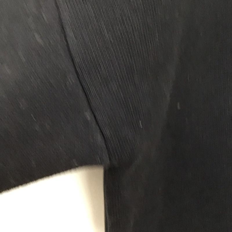 ジーナシス JEANASIS トレーナー 長袖 js064131mw 12G Wジャガードボリュームスリーブスウェット FREE 無地 黒 / ブラック /  レディース USED 古着 中古 10143423