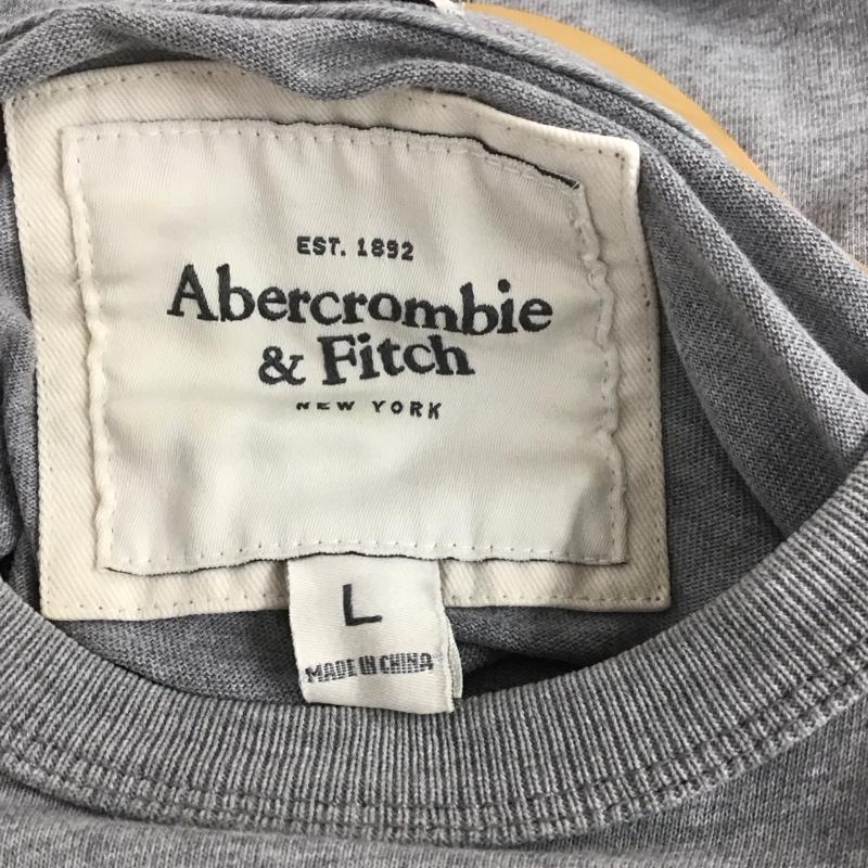 アバクロンビーアンドフィッチ ABERCROMBIE&FITCH Tシャツ 半袖 半袖カットソー プリントTシャツ クルーネックカットソー L ロゴ、文字 灰 / グレー /  メンズ USED 古着 中古 10132079