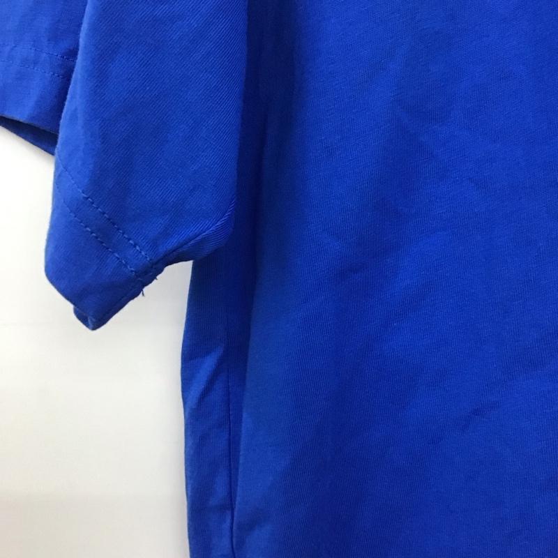 ザノースフェイス THE NORTH FACE Tシャツ 半袖 nt32550 Tシャツ プリントTシャツ L ロゴ、文字 青 / ブルー /  メンズ USED 古着 中古 10146552