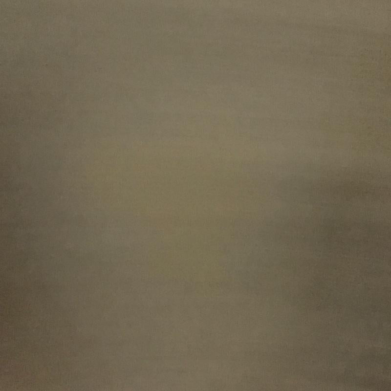 ポロバイラルフローレン Polo by RALPH LAUREN カットソー 長袖 長袖カットソー ジップネックカラー カットソー XXL ロゴ、文字 カーキ / カーキ /  メンズ USED 古着 中古 10124952