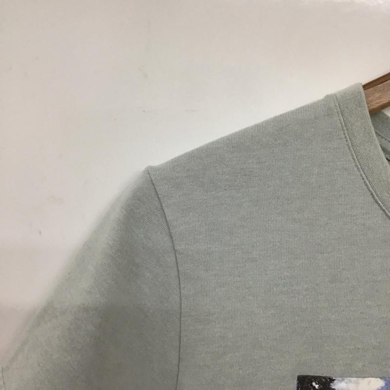 ザノースフェイス THE NORTH FACE Tシャツ 半袖 半袖カットソー プリントTシャツ クルーネックカットソー M プリント 水色 / ライトブルー /  メンズ USED 古着 中古 10132105