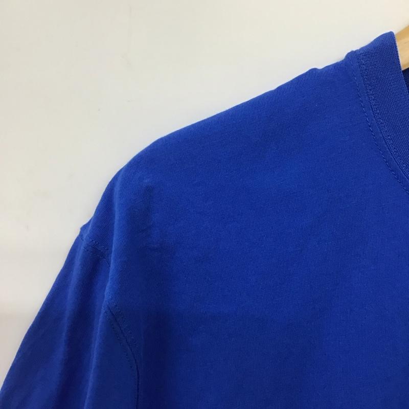 ザノースフェイス THE NORTH FACE Tシャツ 半袖 nt32550 Tシャツ プリントTシャツ L ロゴ、文字 青 / ブルー /  メンズ USED 古着 中古 10146552