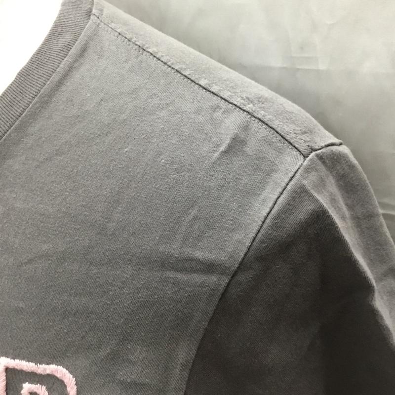 ハリウッドランチマーケット HRMARKET Tシャツ 半袖 MOTHER NATURE クルーネック 刺繍 1 ロゴ、文字 灰 / グレー /  メンズ USED 古着 中古 10112377