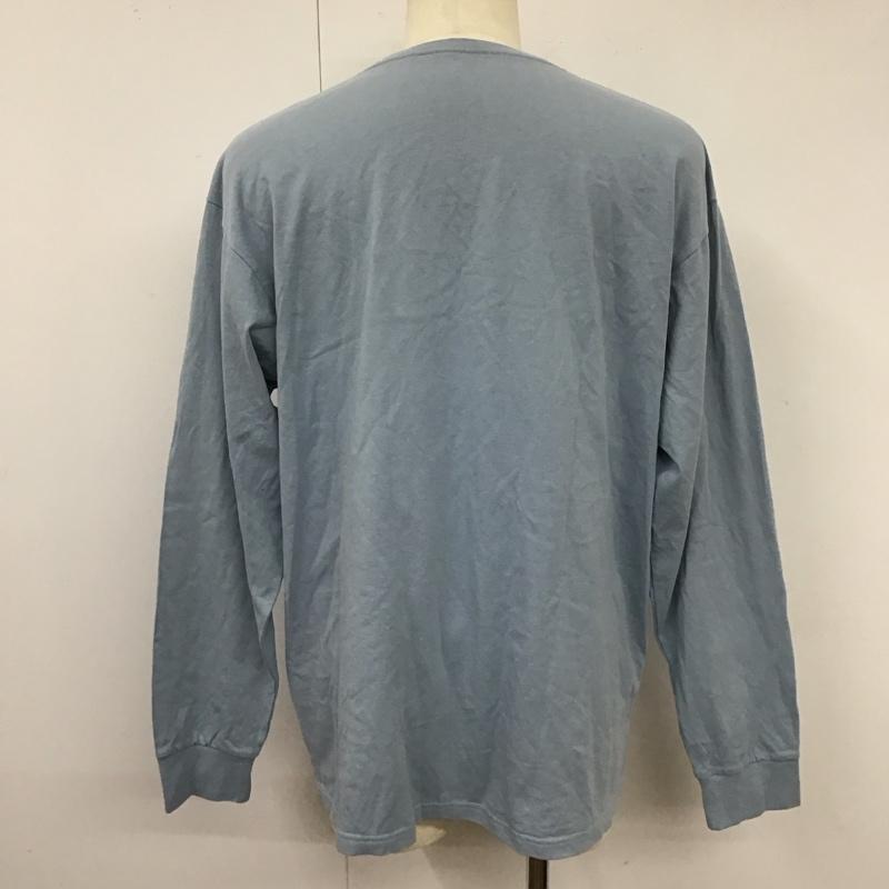 カーハート Carhartt カットソー 長袖 長袖カットソー クルーネックカットソー ロングスリーブカットソー プリントTシャツ L ロゴ、文字 水色 / ライトブルー /  メンズ USED 古着 中古 10115717