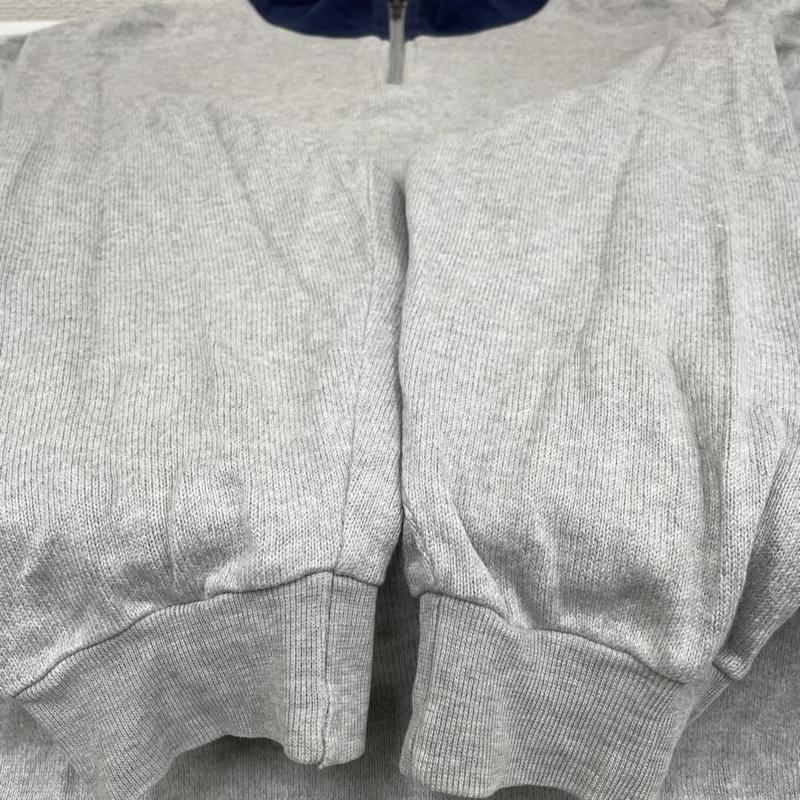 ポロスポーツラルフローレン POLOSPORT トレーナー 長袖 RALPH LAUREN 星条旗 ハーフジップ トレーナー ロゴ 刺繍 スウェット LL ロゴ、文字 X 刺繍 灰 / グレー / gray メンズ USED 古着 中古 50128971