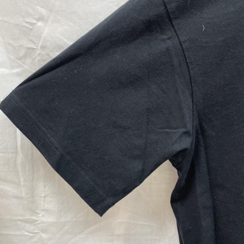 レジェンダ LEGENDA Tシャツ 半袖 LEC1157 Beautiful Things Line Art Embroidery コットン 刺繡 FREE 黒 / ブラック / black メンズ USED 古着 中古 50132101
