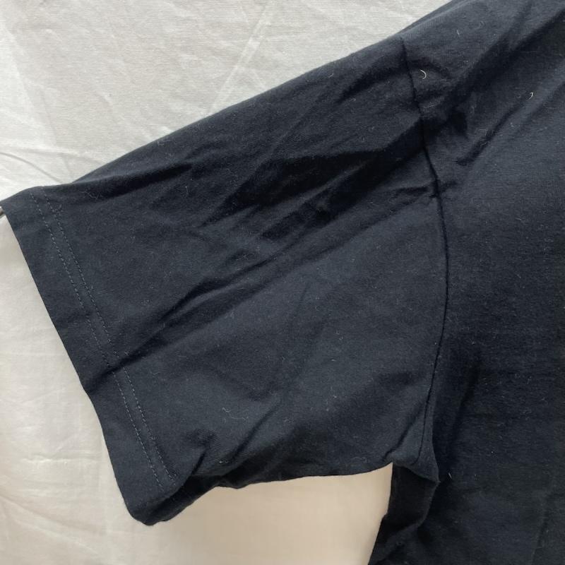 レジェンダ LEGENDA Tシャツ 半袖 LEC1157 Beautiful Things Line Art Embroidery コットン 刺繡 FREE 黒 / ブラック / black メンズ USED 古着 中古 50132101