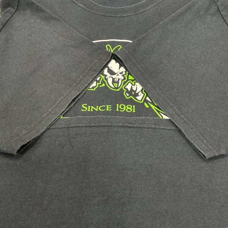 ヘインズ HANES Tシャツ 半袖 METALLICA メタリカ SEEK AND DESTROY オールド 00 s バンド ロック メタル Tシャツ LL ロゴ、文字 X プリント 黒 / ブラック / black メンズ USED 古着 中古 50139428