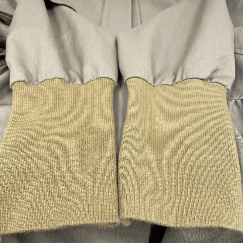 古着 USED シャツ、ブラウス 長袖 ICHI PERCENT ブラウス 長袖 無地 チュニック 短丈ワンピース フリル リブニット バンドカラー 2 無地 ベージュ / ベージュ / beige レディース USED 古着 中古 50145706