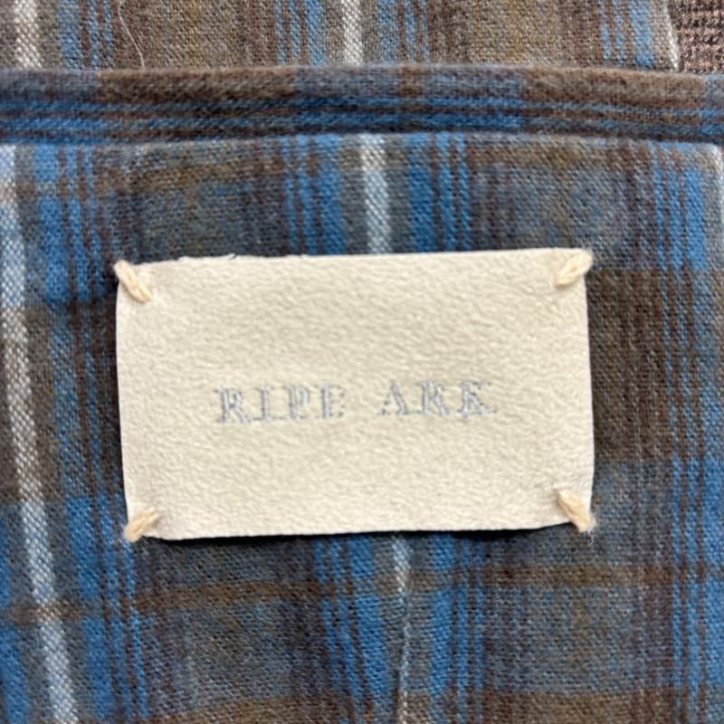 ライプアーク RIPE ARK ベスト ベスト ベスト ウールベスト anthrogr3-003 3 茶 / ブラウン / brown メンズ USED 古着 中古 50146770