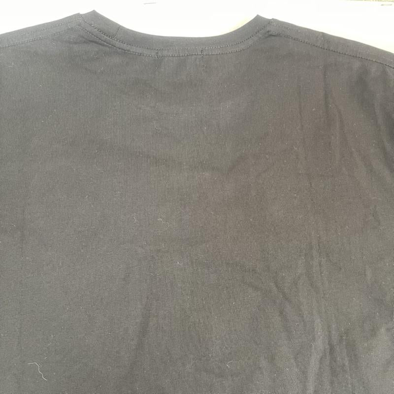 古着 USED Tシャツ 半袖 LAST NEST 25ss ONE DOLLAR T-SHIRTS プリント シャツ L 黒 / ブラック / black メンズ USED 古着 中古 50150273