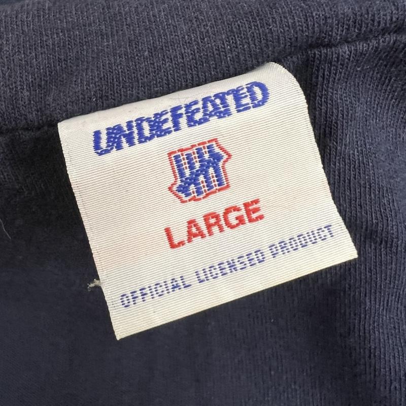 アンディフィーテッド UNDEFEATED ジャケット、上着 ジャンパー、ブルゾン ナイロン アノラックパーカー ハーフジップ L 紺 / ネイビー / navy メンズ USED 古着 中古 50154218