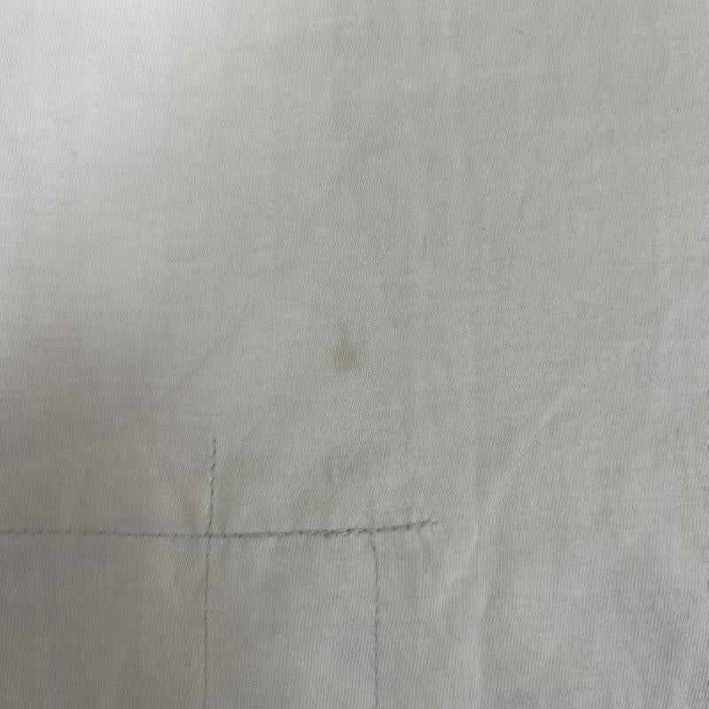 ポロラルフローレン POLO RALPH LAUREN Tシャツ 半袖 PR7C2 グラフィック サソリ プリント Tシャツ 白 / ホワイト / white メンズ USED 古着 中古 50155007