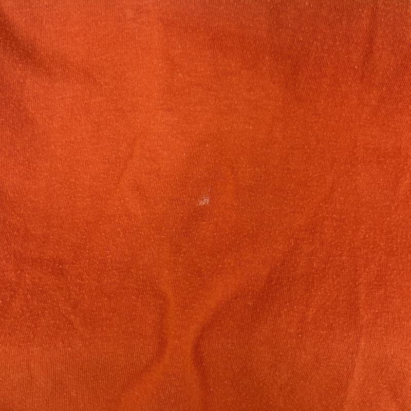古着 USED Tシャツ 半袖 ヴィンテージ タイガース カレッジ キャラクター Tシャツ L 橙 / オレンジ / orange メンズ USED 古着 中古 50155013