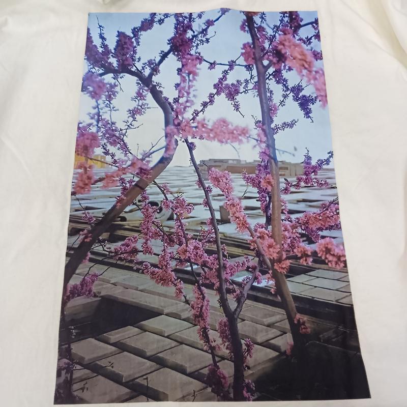 エフオージーエッセンシャルズ FOG ESSENTIALS Tシャツ 半袖 FLOWER PHOTO S/S Tee white L L  白 / ホワイト / white メンズ USED 古着 中古 50157421