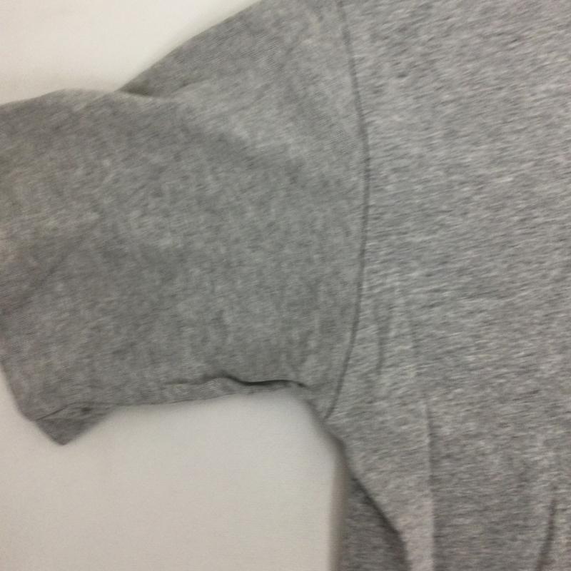 ステューシー STUSSY Tシャツ 半袖 STUSSY Tシャツ ラスタライオン　OLD M プリント 灰 / グレー / gray メンズ USED 古着 中古 50158437
