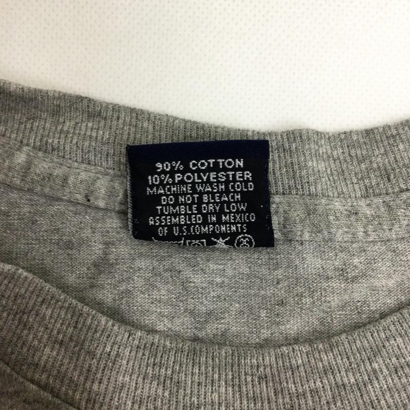 ステューシー STUSSY Tシャツ 半袖 STUSSY Tシャツ ラスタライオン　OLD M プリント 灰 / グレー / gray メンズ USED 古着 中古 50158437