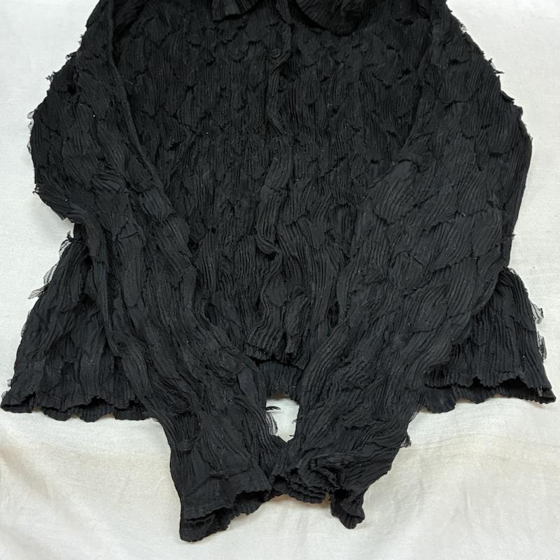 イッセイミヤケ ISSEY MIYAKE シャツ、ブラウス 長袖 プリーツ チュール ロングスリーブ シャツ IM24FJ918 2 レディース USED 古着 中古 50159315
