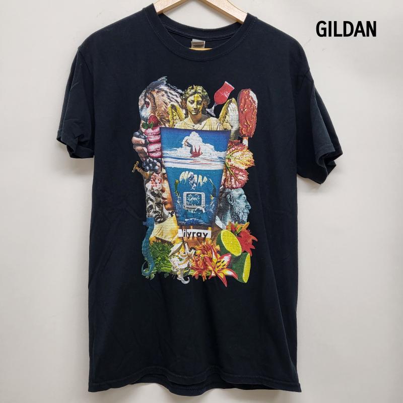 ギルダン GILDAN Tシャツ 半袖 lilyray 群馬 バンドT アメリカブランド 彫刻 植物 M 黒 / ブラック / black メンズ USED 古着 中古 50161786