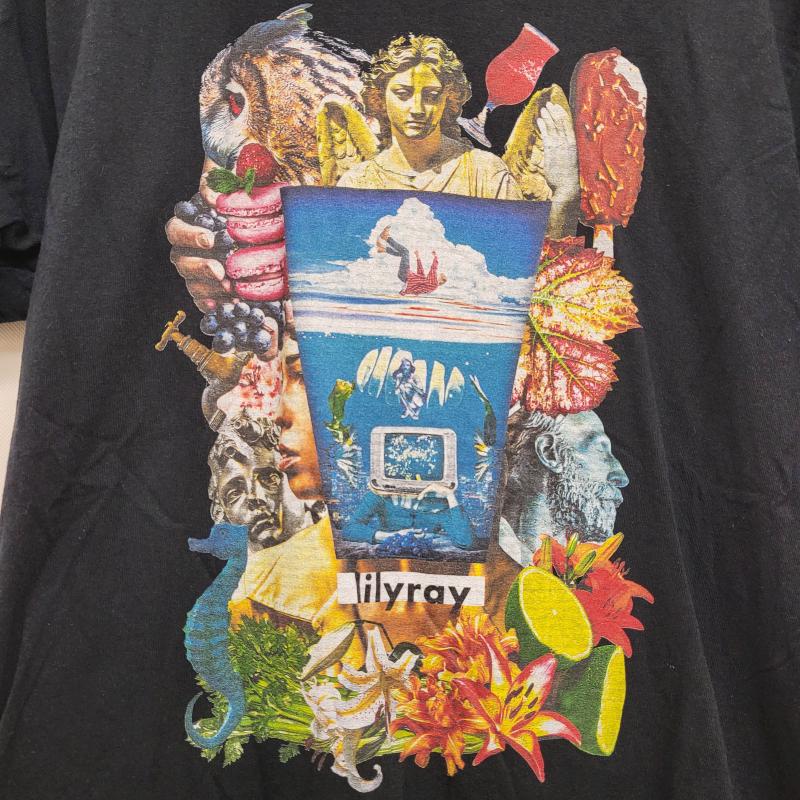 ギルダン GILDAN Tシャツ 半袖 lilyray 群馬 バンドT アメリカブランド 彫刻 植物 M 黒 / ブラック / black メンズ USED 古着 中古 50161786