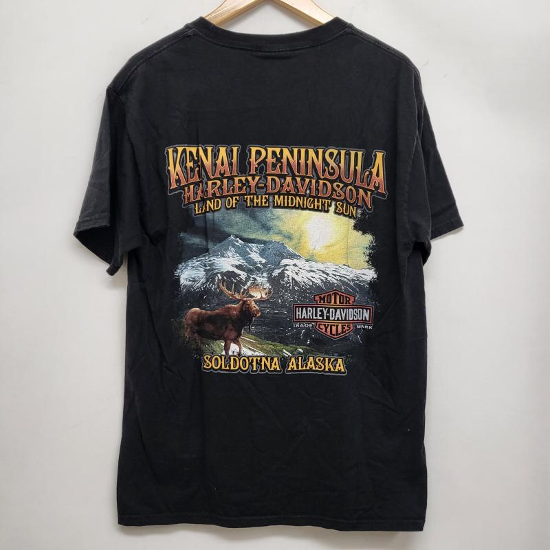 ハーレーダビッドソン Harley-Davidson Tシャツ 半袖 モーターサイクルバイクTシャツ コットン100 両面プリント ハーレー M 黒 / ブラック / black メンズ USED 古着 中古 50161787
